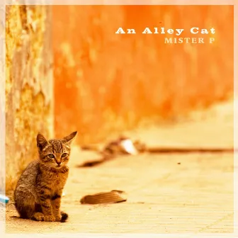 Alleyway Cat by Mister P