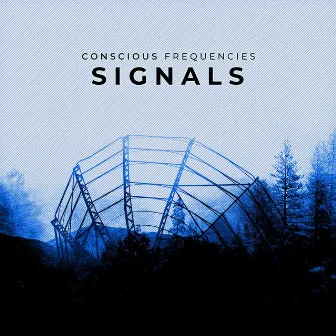 Signals by Conscious Frequencies