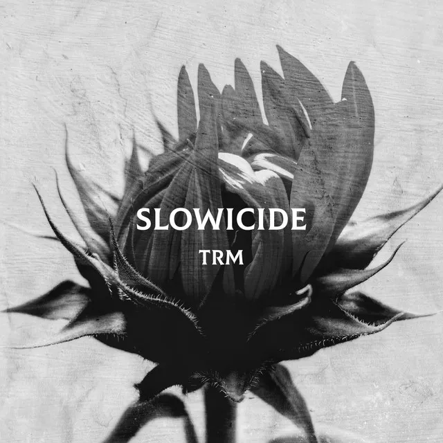 SLOWICIDE