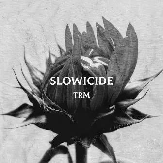 SLOWICIDE by TRM