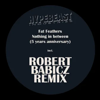 Nothing in Between (Robert Babicz Remix - 5 Years Anniversary) by Fat Feathers