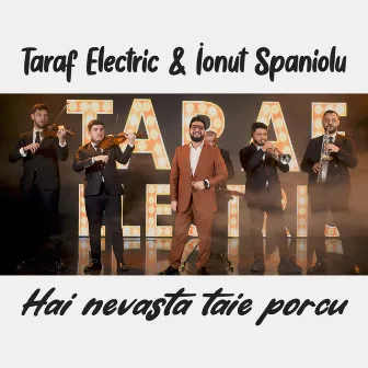 Hai nevasta taie porcu by Taraf Electric