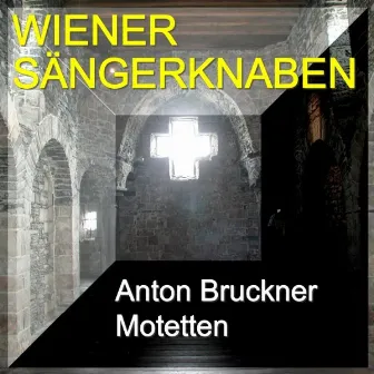 Anton Bruckner - Motetten by Chorus Viennensis