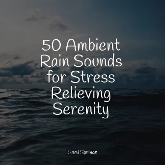 50 Ambient Rain Sounds for Stress Relieving Serenity by Master Meditação