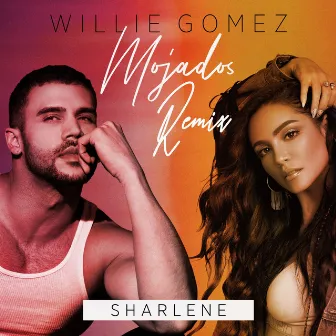 Mojados (Remix) by Willie Gomez