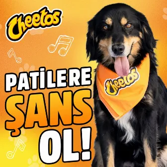 Şans by Cheetos