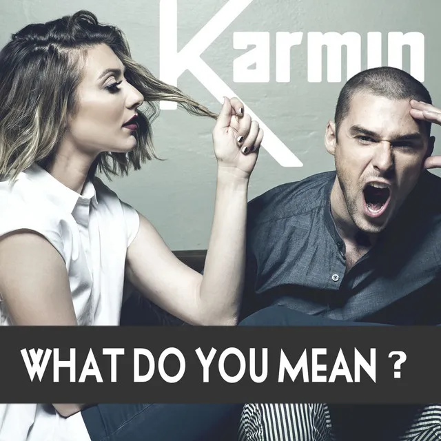 What Do You Mean? - Single