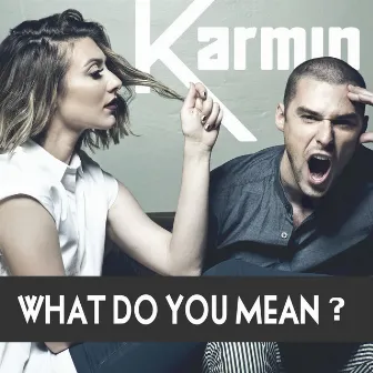 What Do You Mean? - Single by Karmin