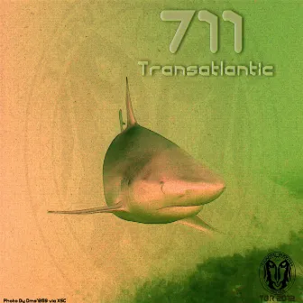 Transatlantic by 711