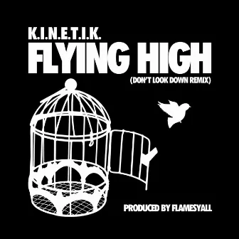 Flying High (Don't Look Down Remix) by K.I.N.E.T.I.K.