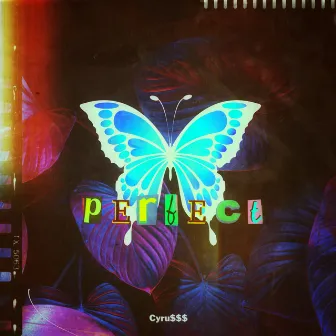 Perfect by Cyru$$$