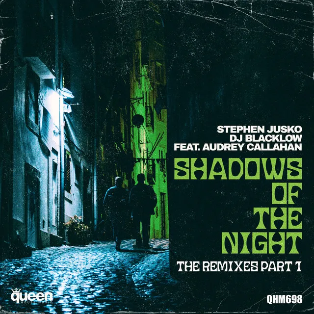 Shadows of the Night - Erik Vilar Radio Mix