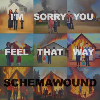 I’m Sorry You Feel That Way by Schemawound