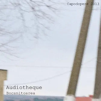 Bocanitoarea EP by Audiotheque