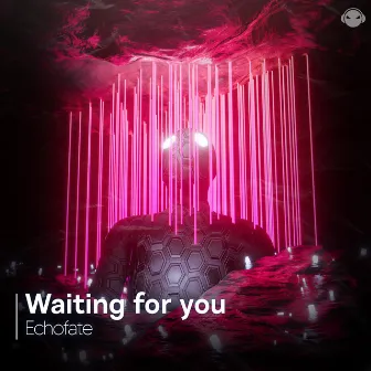 Waiting for you by Echofate