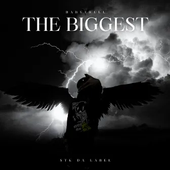 The Biggest by BabyTrell