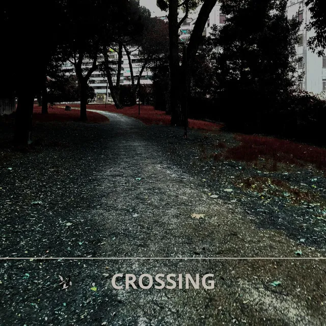 Crossing