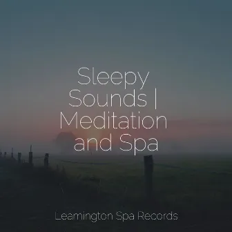 Sleepy Sounds | Meditation and Spa by Loopable Rain