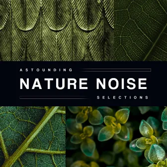 Astounding Nature Noise Selections by Nature Collective