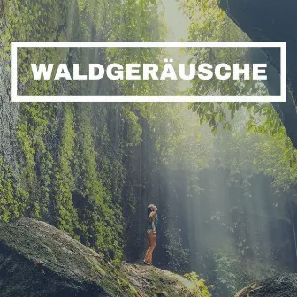 Waldgeräusche: Natur klingt, Klavier und entspannende Musik by Schlaf Musik Prime