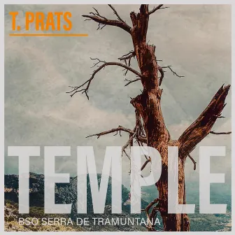 TEMPLE by Tolo Prats