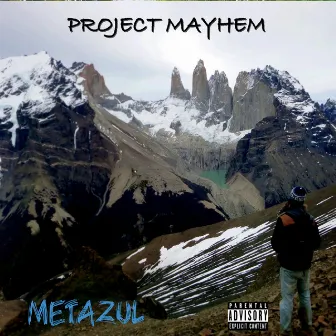 Project Mayhem by Unknown Artist