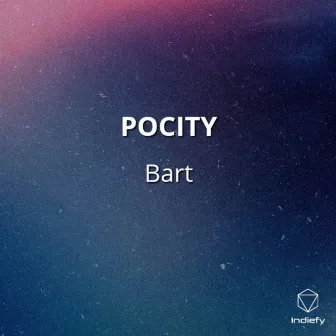 Pocity by Unknown Artist