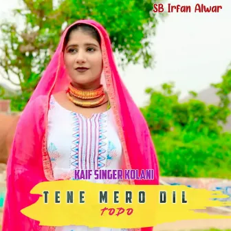 Tene Mero Dil Todo by SB Irfan Alwar