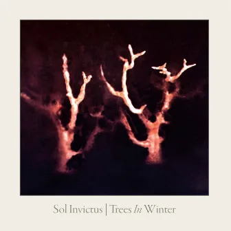 Trees in Winter by Sol Invictus