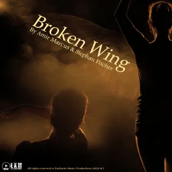 Broken Wing (Original Score) by Stephan Fischer