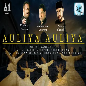 Auliya Auliya by Aamir Ali