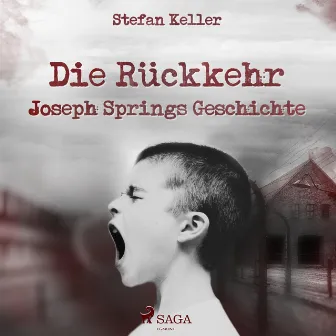 Die Rückkehr - Joseph Springs Geschichte (Ungekürzt) by Stefan Keller