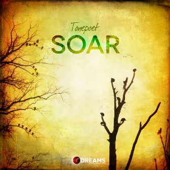 Soar by Tone Poet