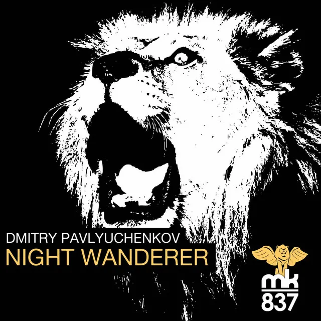 Night Wanderer - Micfreak Remix