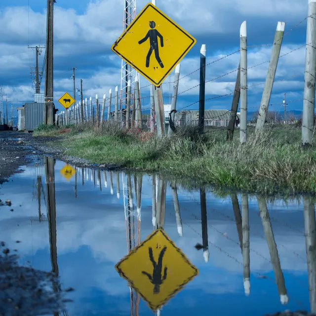 reflejos