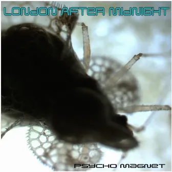 Psycho Magnet by London After Midnight