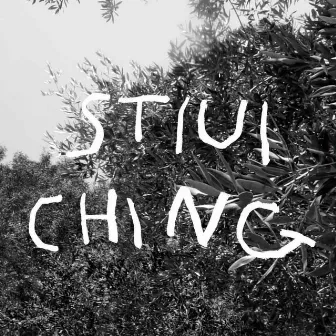 stiui Ching by Alwa Alibi