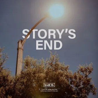 Story's End by Indii G.