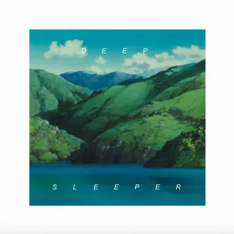 Deep Sleeper by Fla.mingo