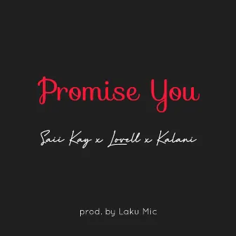 Promise You by Saii Kay