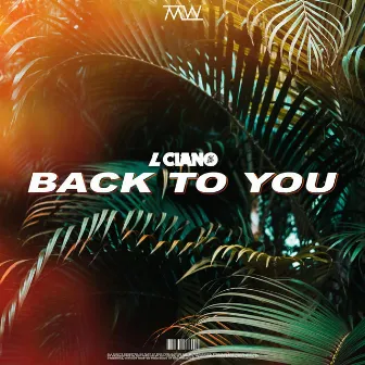 Back to You by Max Wallin'