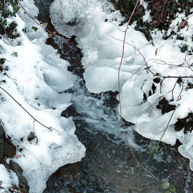 Frozen Water Nature