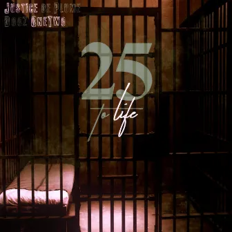 25 TO LIFE by Justice De Plume