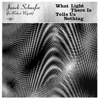 What Light There Is Tells Us Nothing by Janek Schaefer