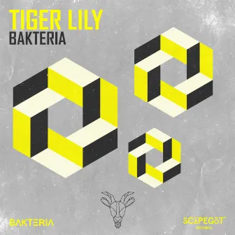 Tiger Lily by Bakteria