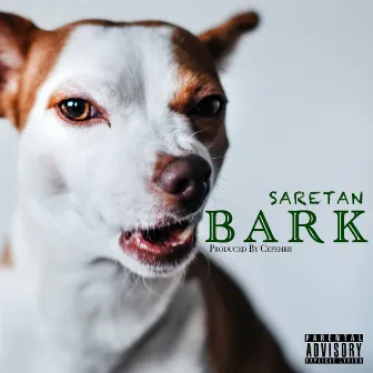 BARK (Short) by Saretan