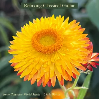 Relaxing Classical Guitar by Chris Wyton