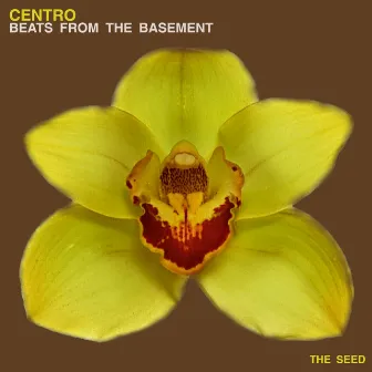 Beats from the Basement by Centro