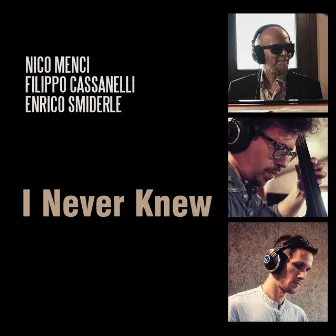 I Never Knew by Enrico Smiderle