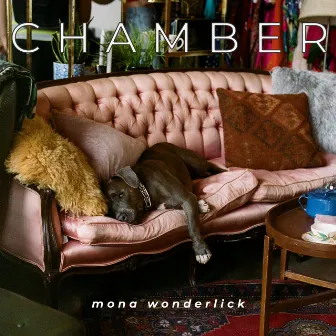 Chamber by Mona Wonderlick